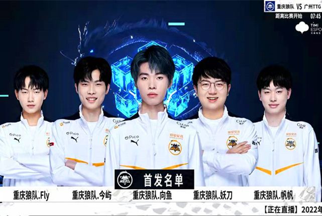 的杰出代表